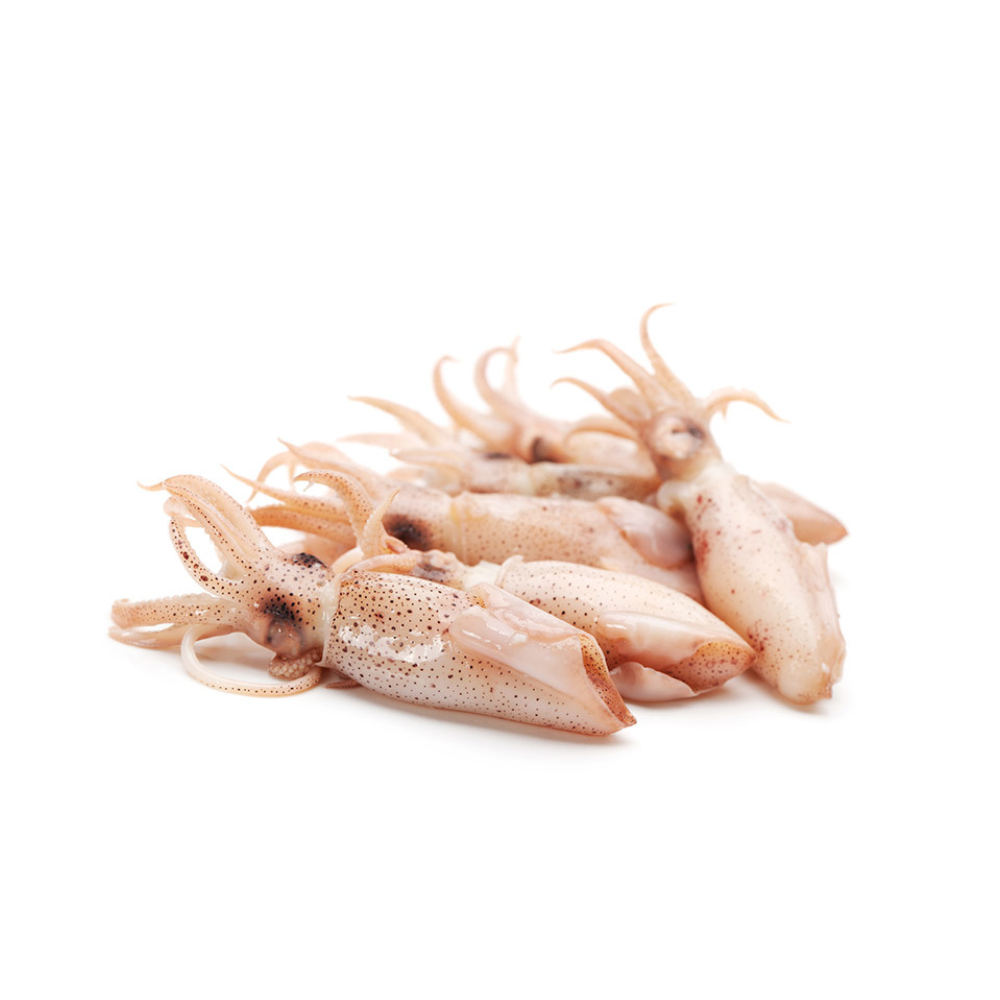 Calamar Puntilla 3/6 cm S/Pluma FROXÁ (1kg)