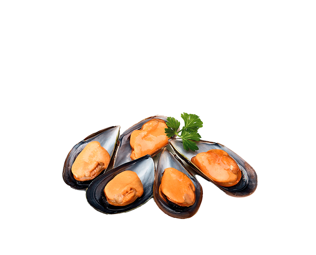 Mejillón 1/2 Concha FROXÁ (9kg)